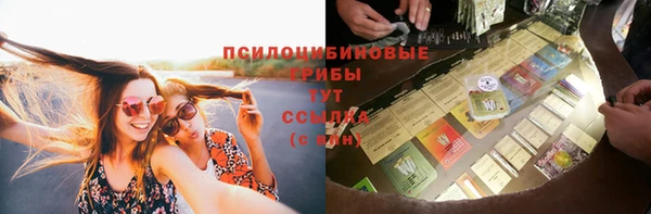 гашик Белоозёрский