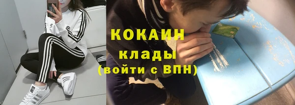 эйфоретик Белокуриха