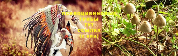 стафф Строитель