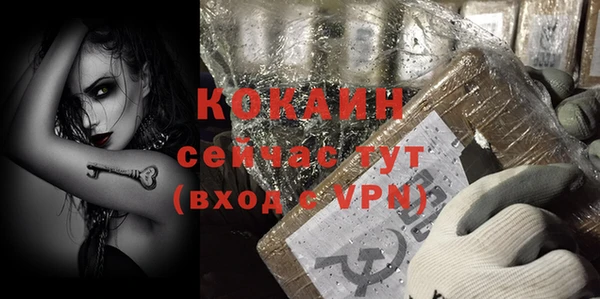 гашик Белоозёрский