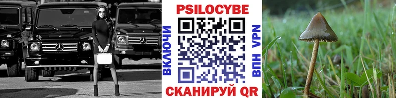 гидра зеркало  Черногорск  Псилоцибиновые грибы Psilocybine cubensis 
